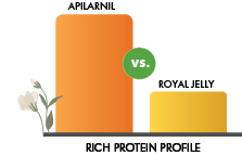 Apilarnil vs Royal Jelly — Apilarnil shows a markedly richer protein profile